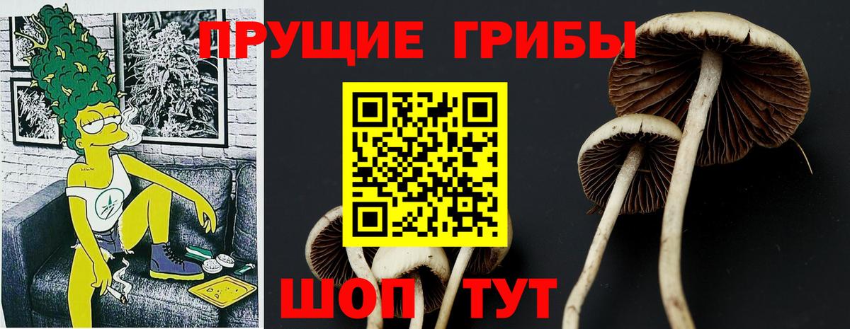 Галлюциногенные грибы Cubensis  где купить наркотик  Димитровград  Вход с VPN 