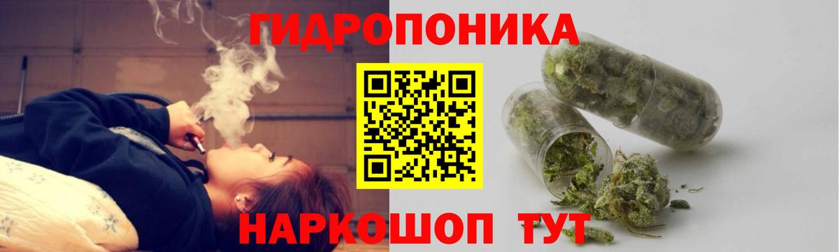 Конопля план Димитровград